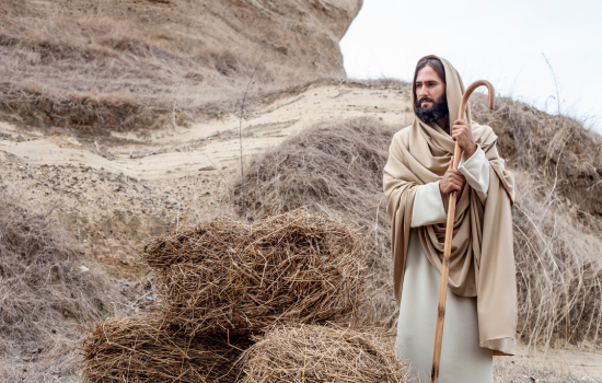 Descubra se você é descendente de Jesus Cristo