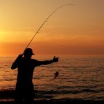 Pescaria High-Tech: Encontre Peixes, Escolha o Dia